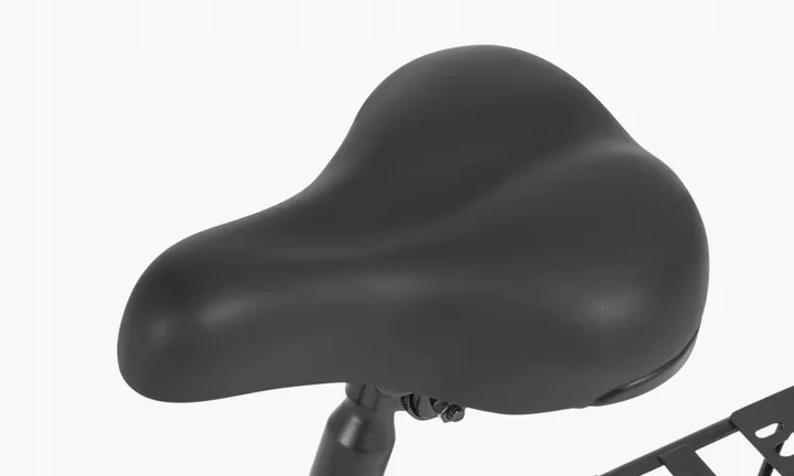 DYU A1F PRO Bici Elettrica Pieghevole image 12