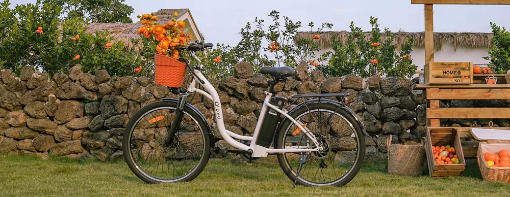 Bicicletta elettrica DYU C6 per utenti con altezza 165-175 cm, regolabile