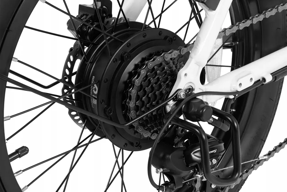 DYU C9 elettrica pieghevole con motore 250W, batteria 15.6Ah e freni a olio