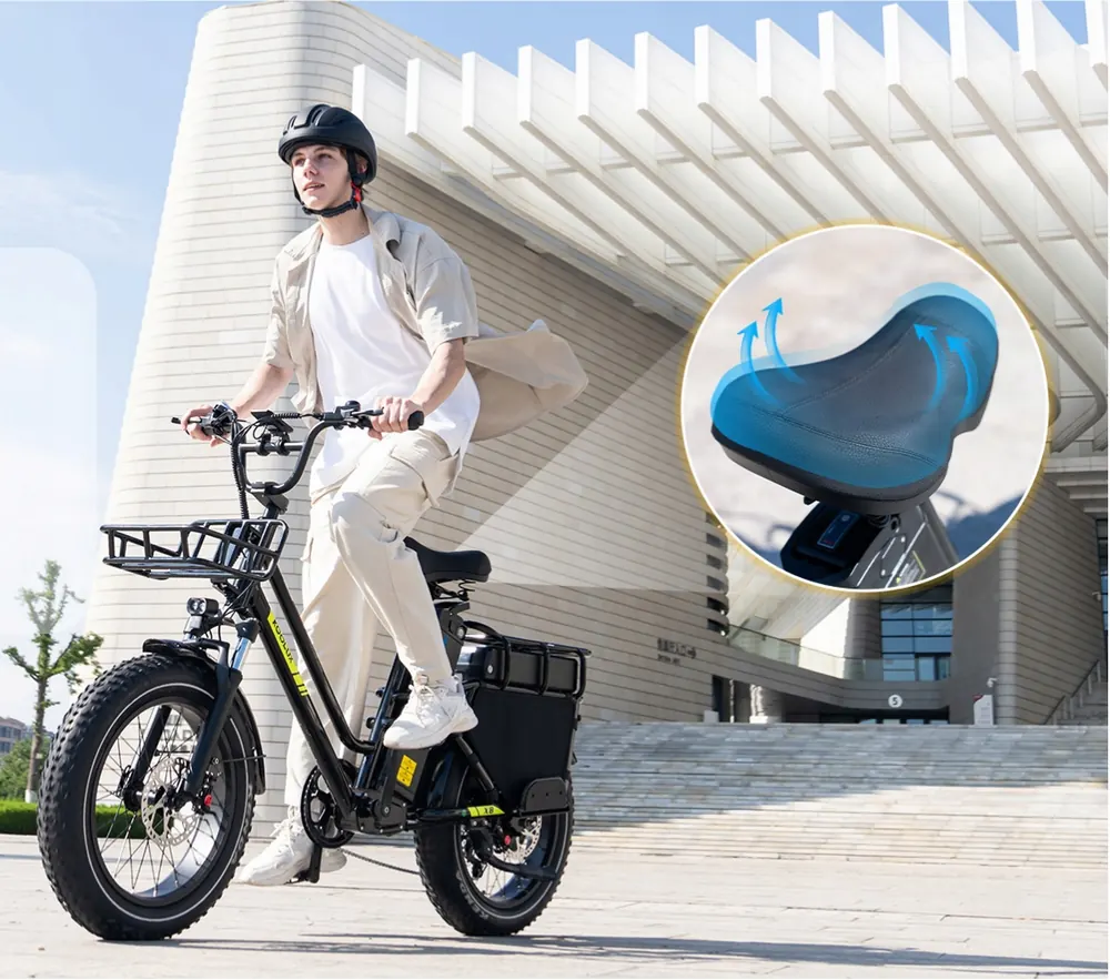Sospensione anteriore della bici elettrica Koolux X8 1000W 48V