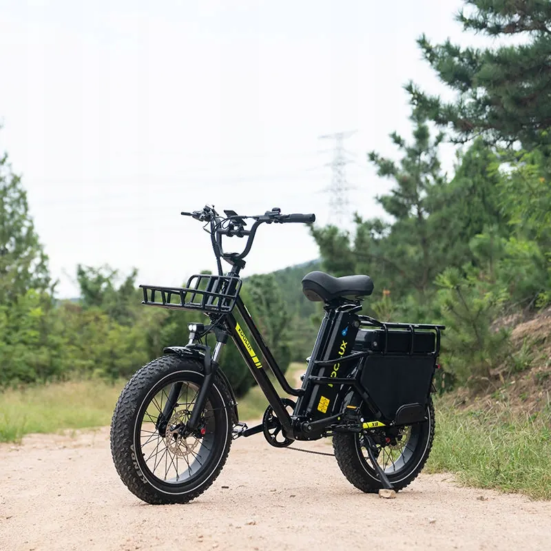 Telaio taglia L della bici elettrica Koolux X8 1000W 48V