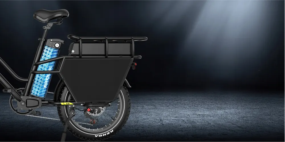 Bici elettrica KOOLUX 20 pollici 1000W con batteria 65Ah e peso 63 kg