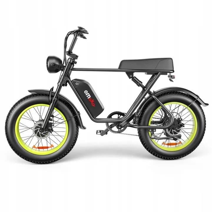 Ruota da 20 pollici della bici elettrica EMOKO C91