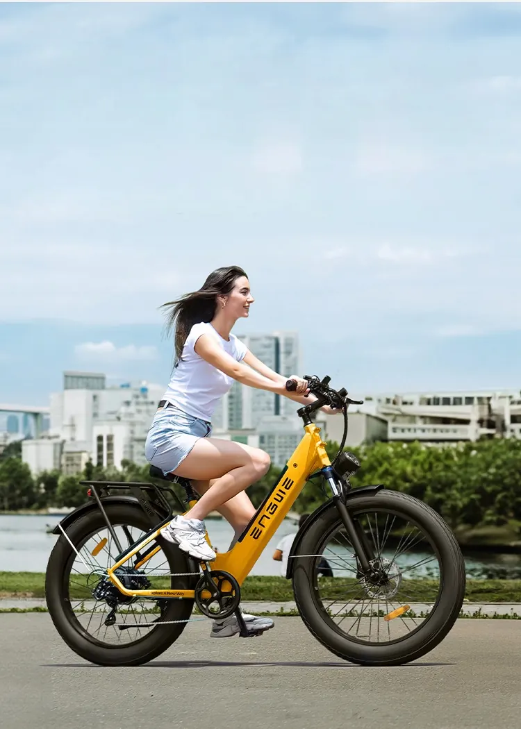 Bici elettrica ENGWE E26 ST marchio Engwe, design robusto e moderno