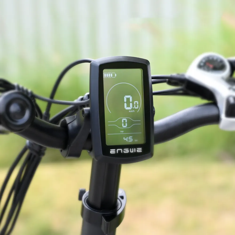 ENGWE ENGINE X bici elettrica ruote 20 pollici