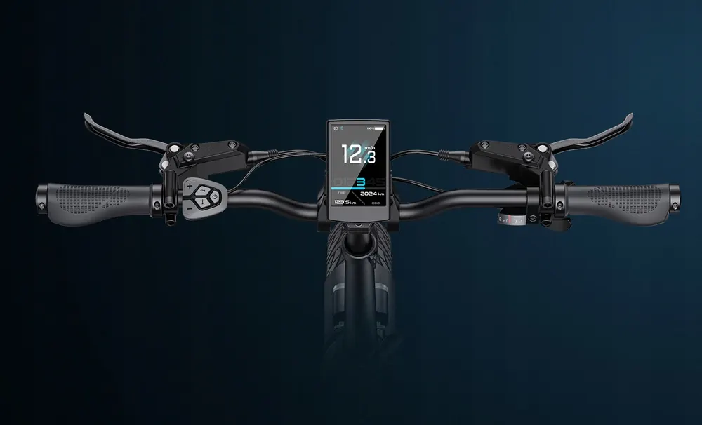 Koła 20 cali w rowerze elektrycznym ENGWE L20 3.0 Boost