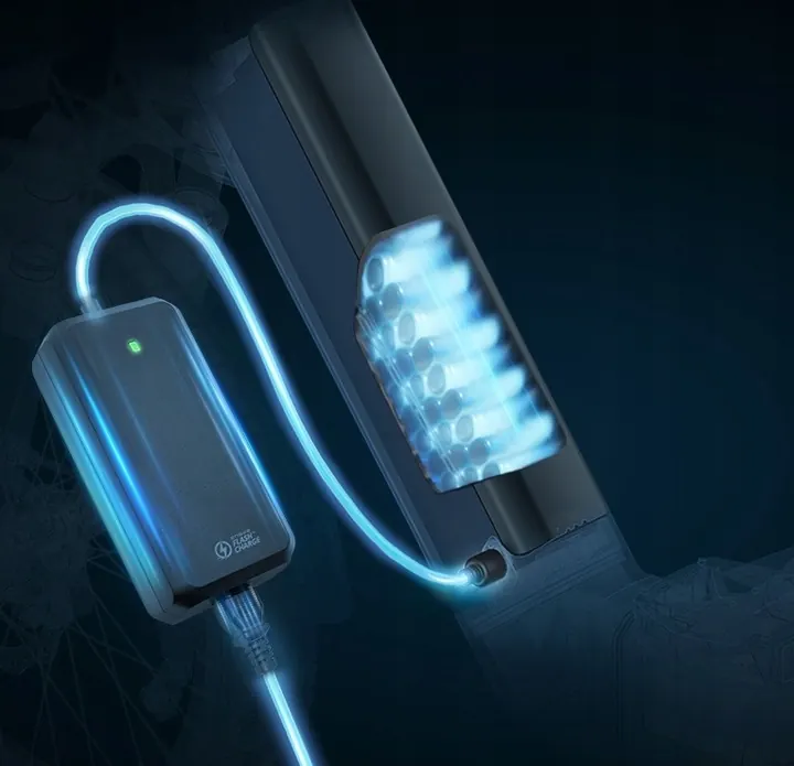 Motore centrale 250W della bici elettrica ENGWE L20 3.0 Pro