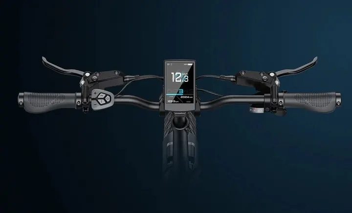 Ruote da 20 pollici della bici pieghevole ENGWE L20 3.0 Pro