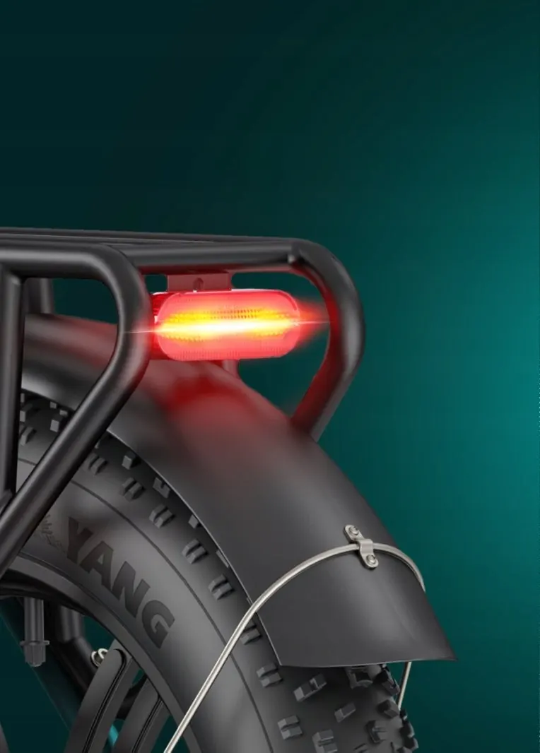 Batteria agli ioni di litio 48V 13Ah estraibile della ENGWE L20 BOOST