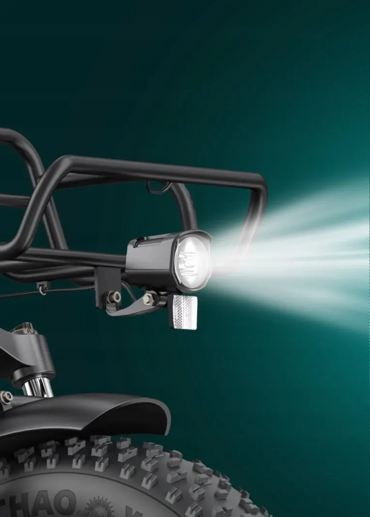Motore nel mozzo posteriore 250W della bici elettrica ENGWE L20 BOOST