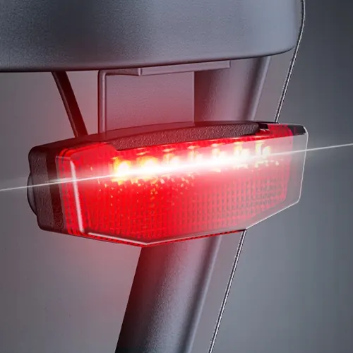 ENGWE LE20 Cargo Elettrica Doppia Batteria image 9