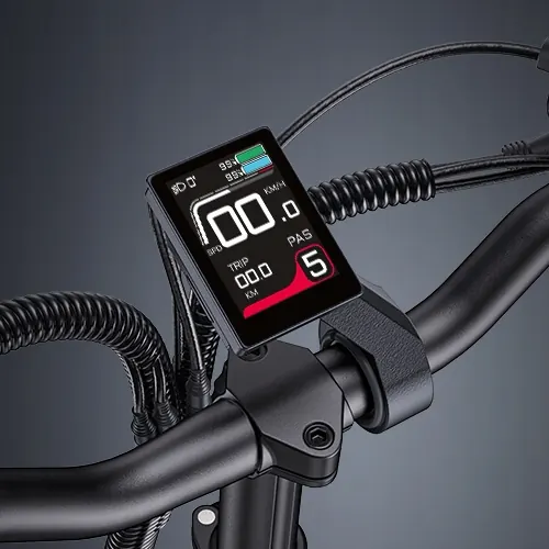 Bici elettrica ENGWE LE20 36,75 kg con doppia batteria 48V