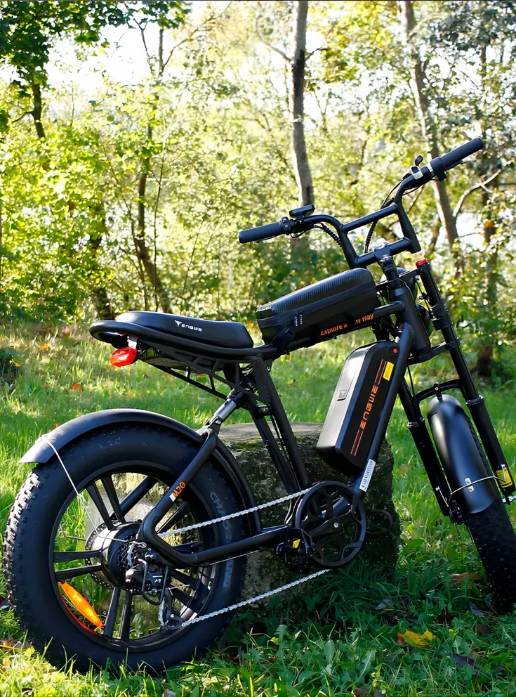 Bici elettrica ENGWE M20 1000W 26Ah in confezione originale