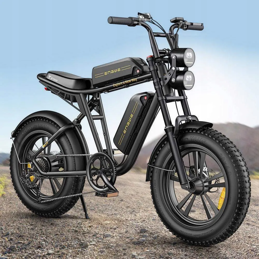 Motore 250W della bici elettrica ENGWE M20 1000W 26Ah doppia batteria