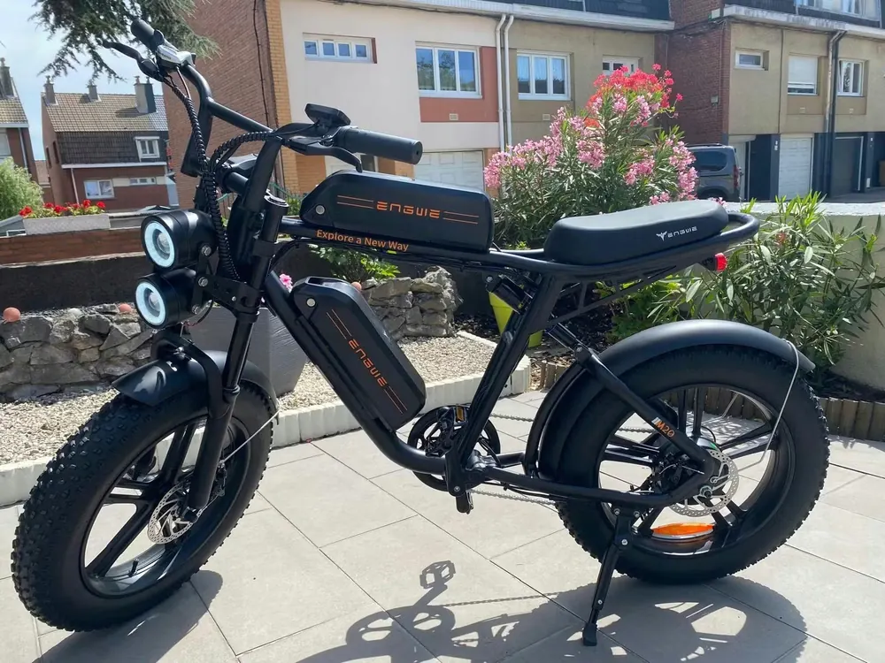 Modello ENGWE M20 48V 2x13Ah doppia batteria 750W 150km autonomia