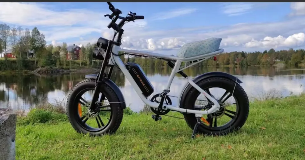 Bicicletta elettrica ENGWE M20 1000W con telaio bianco e batteria 48V 13AH