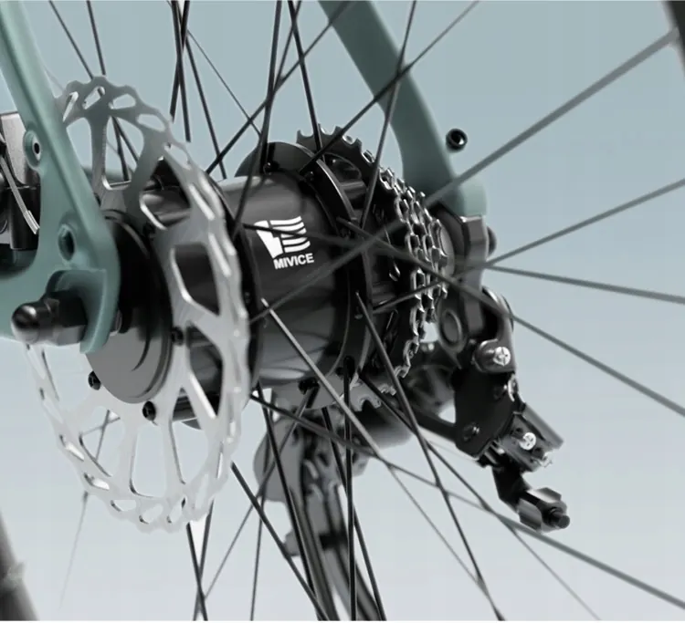 Ruota da 24 pollici della bici elettrica Engwe MapFour N1 Air grigia