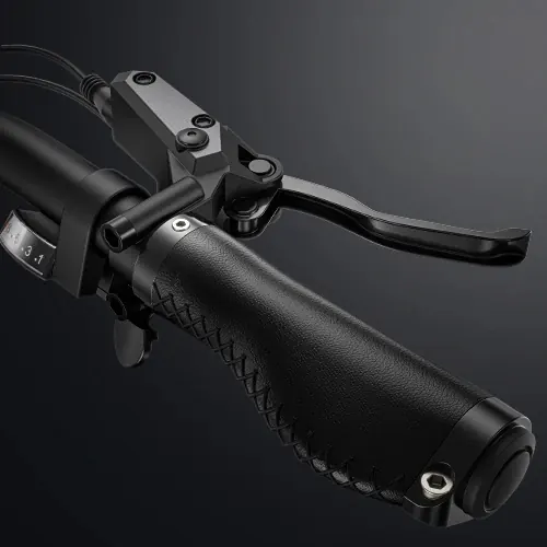 ENGWE X26 E-Bike Fuoristrada Doppia Batteria image 12
