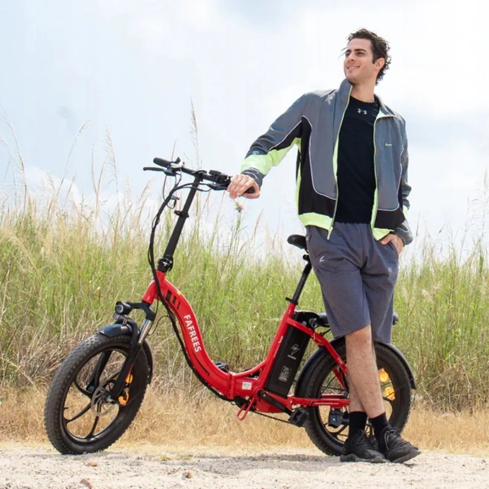 FAFREES F20 Bici Elettrica Pieghevole Fat image 15