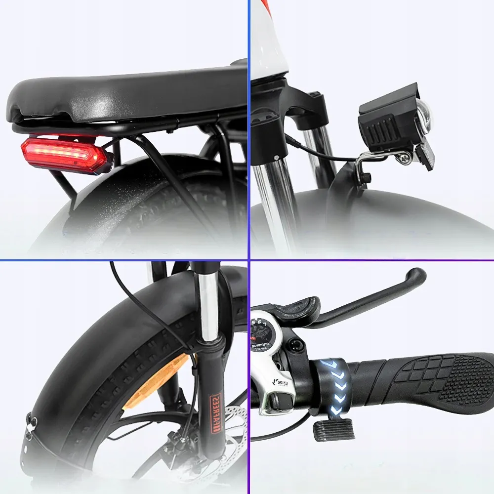 FAFREES F20 Bici Elettrica Pieghevole Fat image 6