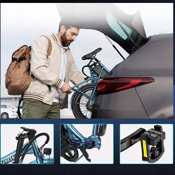 Motore da 250W per bici elettrica FAFREES F20 Lasting