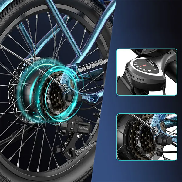 Bici elettrica FAFREES F20 Lasting in colore nero