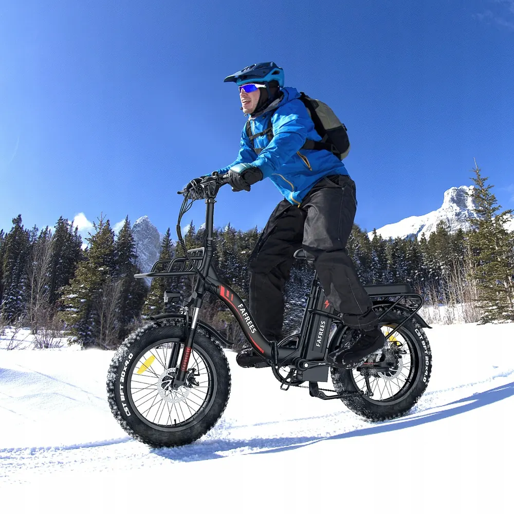 FAFREES F20 MAX Bici Elettrica Pieghevole image 14