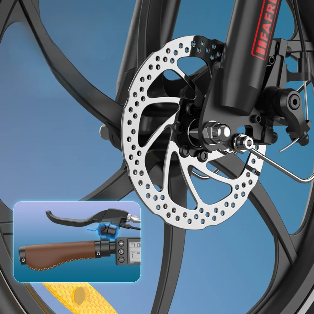 Bici elettrica Fafrees F20+ Pro marchio Fafrees