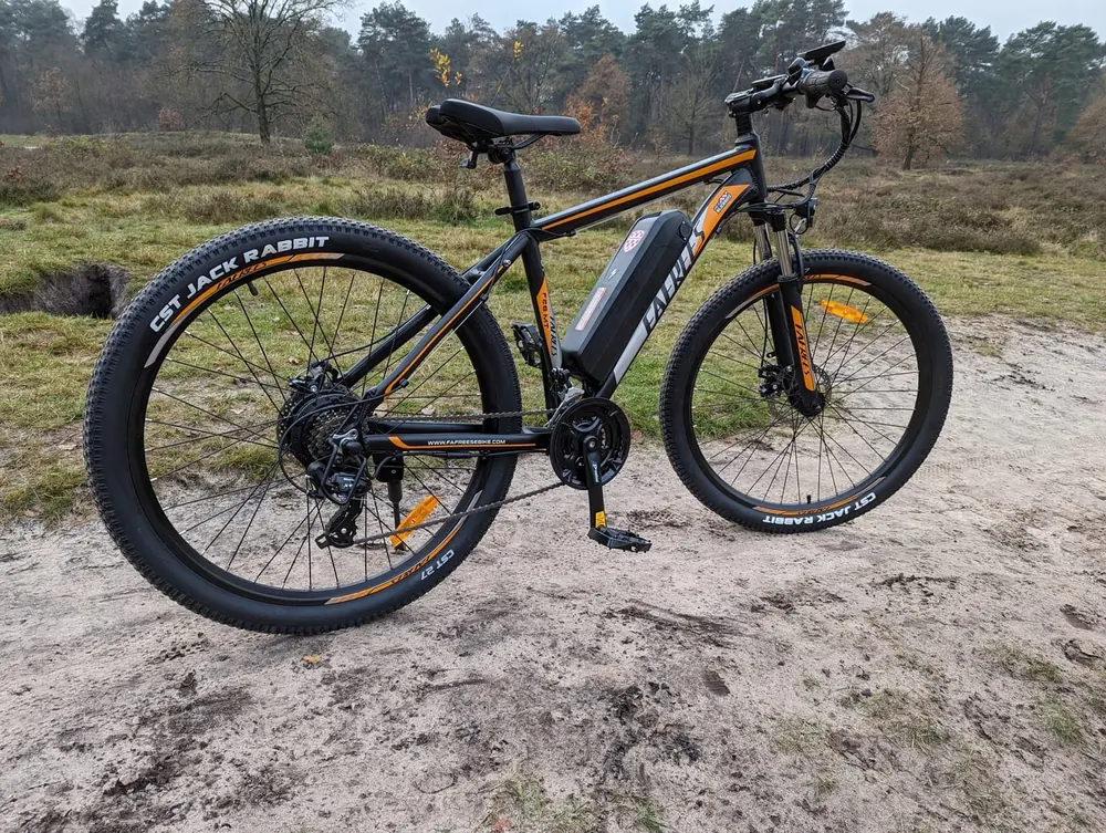 Carico massimo 150 kg per bici elettrica Fafrees F28 MT