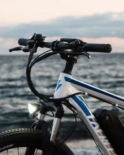 Bici elettrica Fafrees F28 MT da MTB