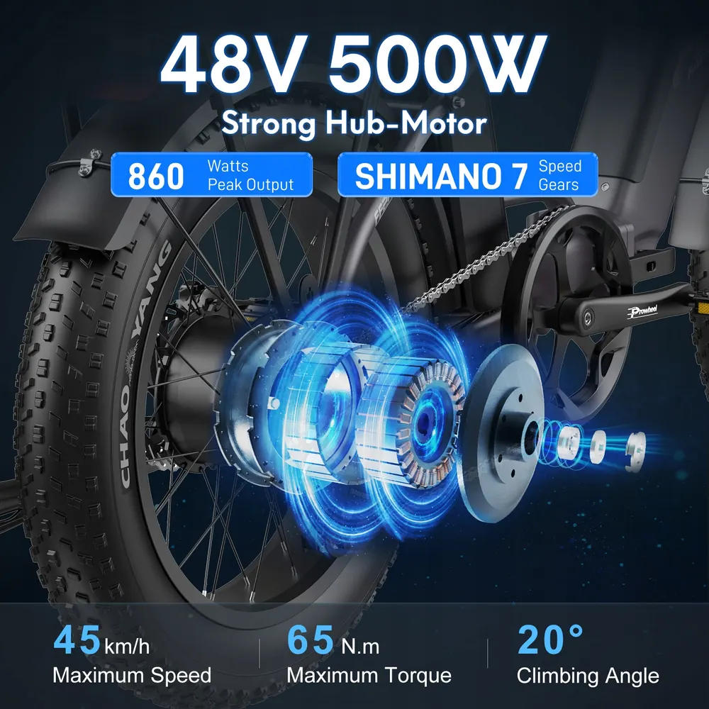FAFREES FF20 Polar E-Bike Pieghevole 20" image 4