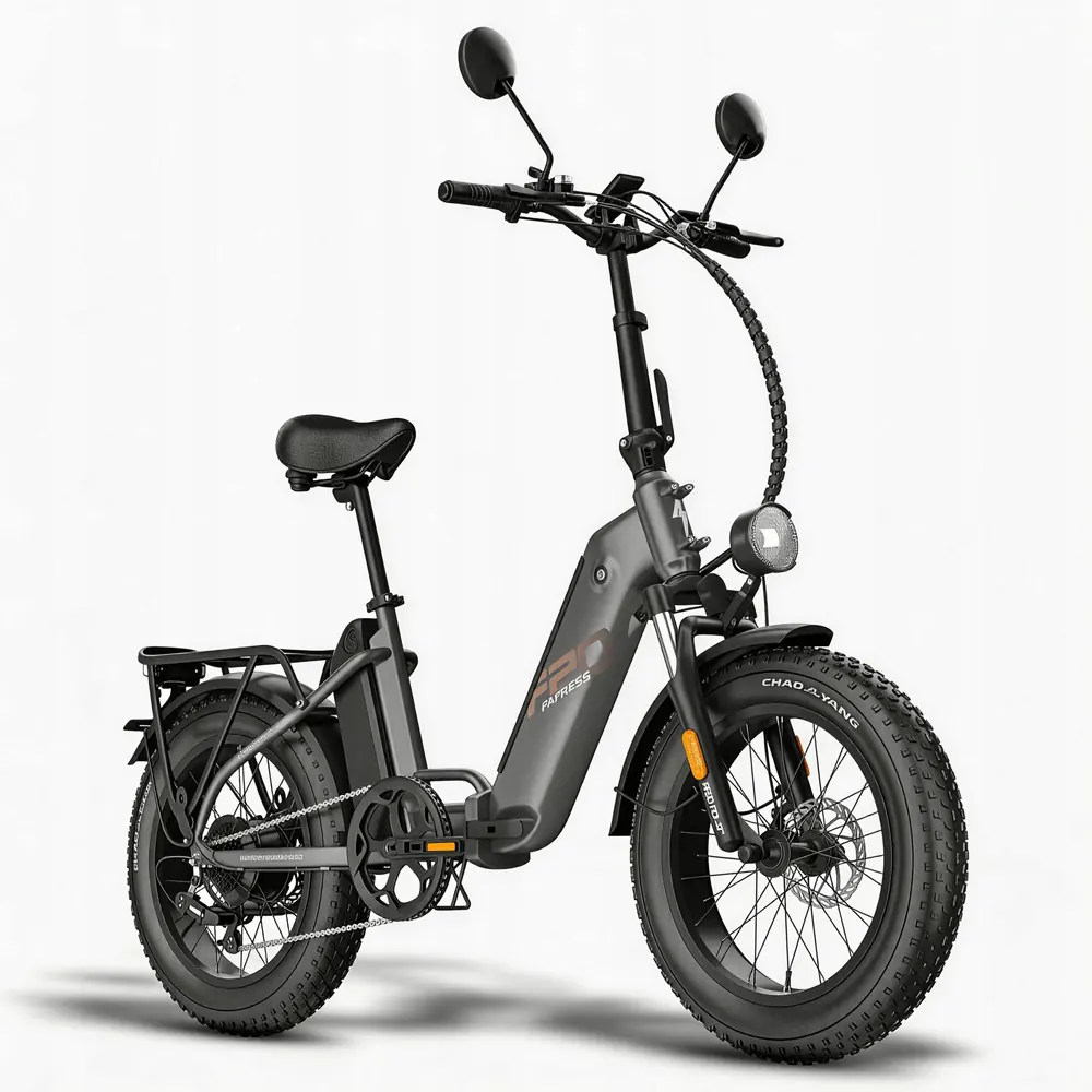 Bici elettrica Fafrees FF20 Polar 20 pollici nera con batteria 48V 24Ah