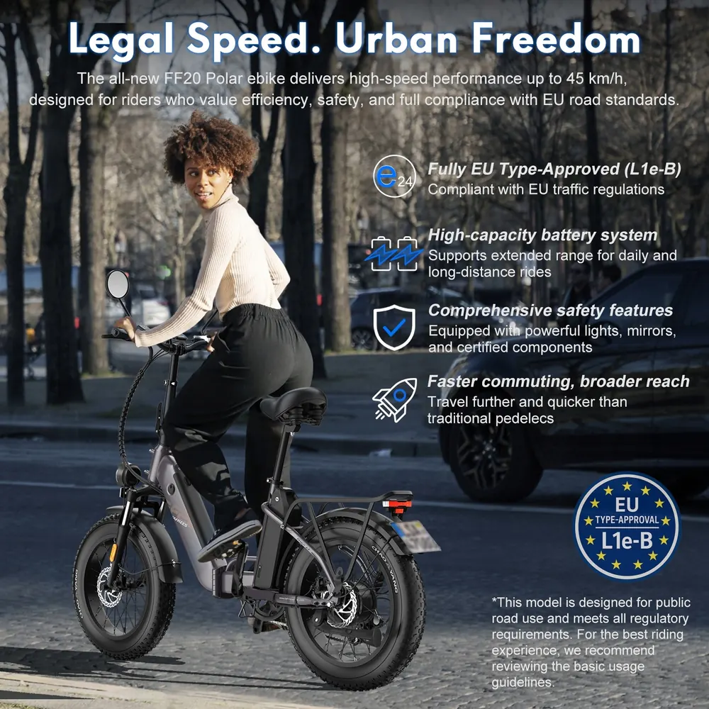 Motore 250W della bici elettrica pieghevole Fafrees FF20 Polar