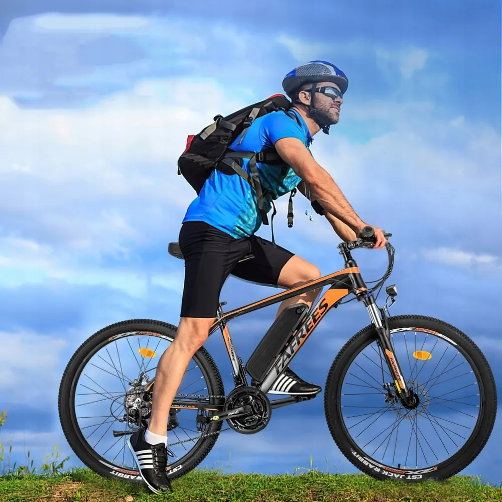 Bici elettrica FAFREES Hailong One 26 pollici con ciclista 160-195 cm