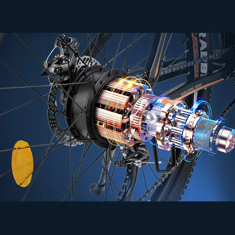 Ruota da 26 pollici della bici elettrica FAFREES Hailong One