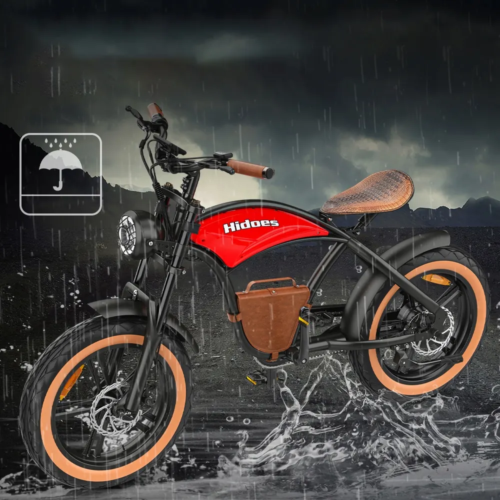 HIDOES B10 E-Bike Fat Tire image 10