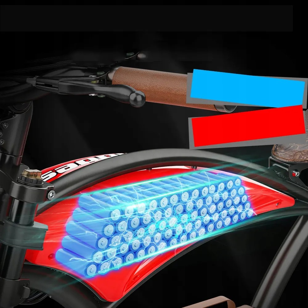 HIDOES B10 E-Bike Fat Tire image 12