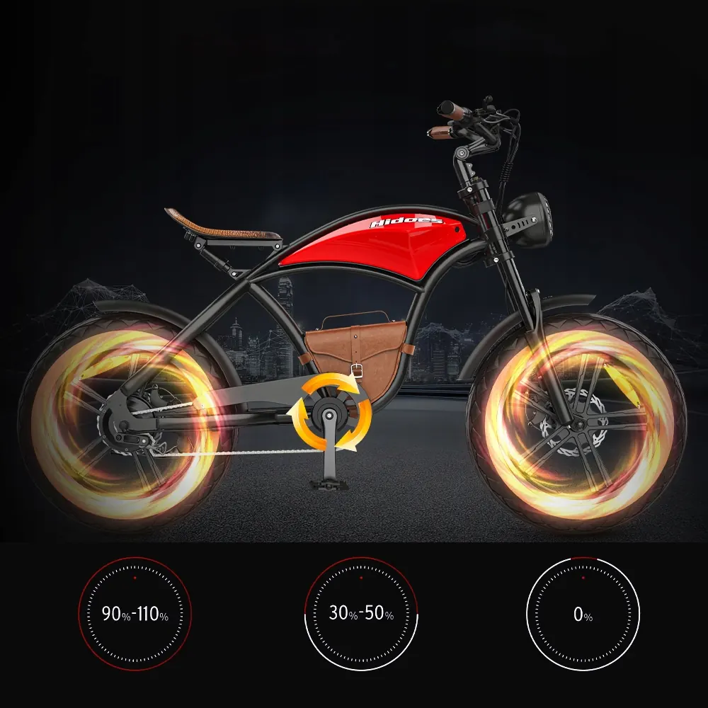 HIDOES B10 E-Bike Fat Tire image 13