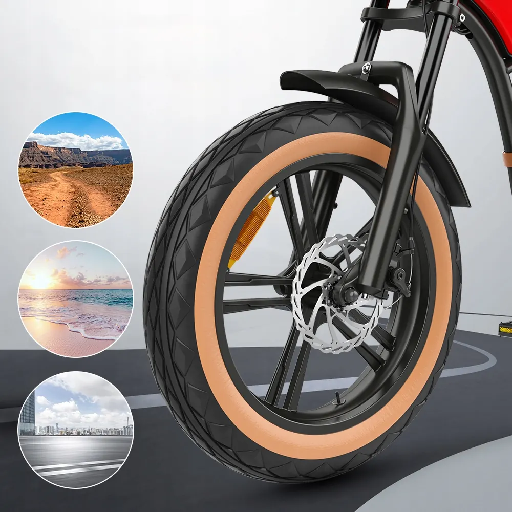 HIDOES B10 E-Bike Fat Tire image 15