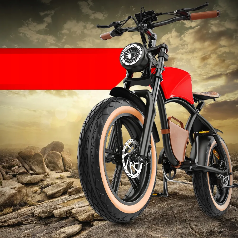 HIDOES B10 E-Bike Fat Tire image 8
