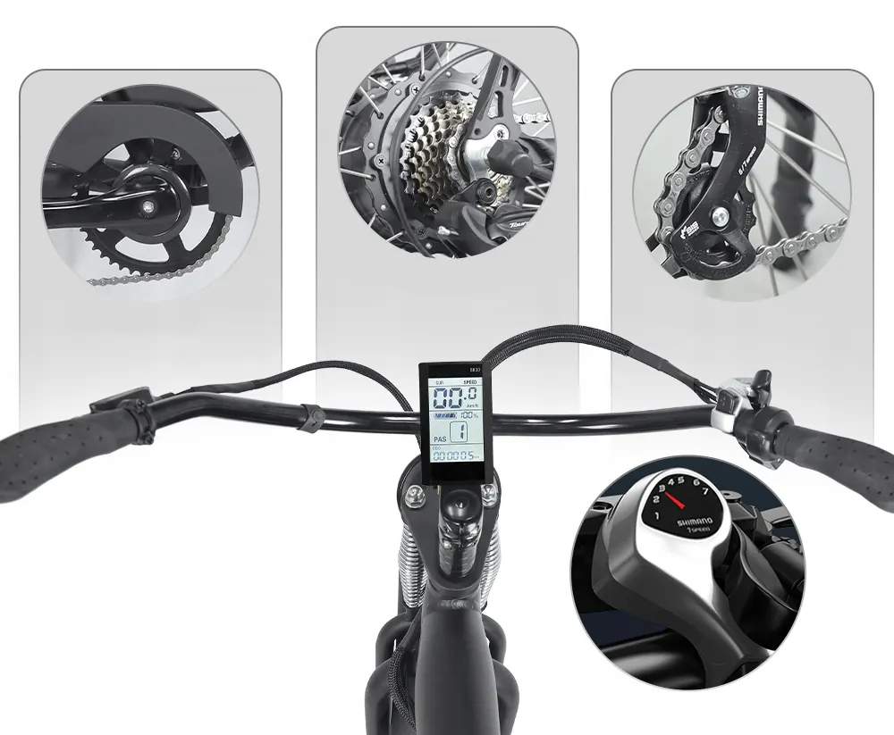 HIDOES B3 Fat Tire E-Bike image 12