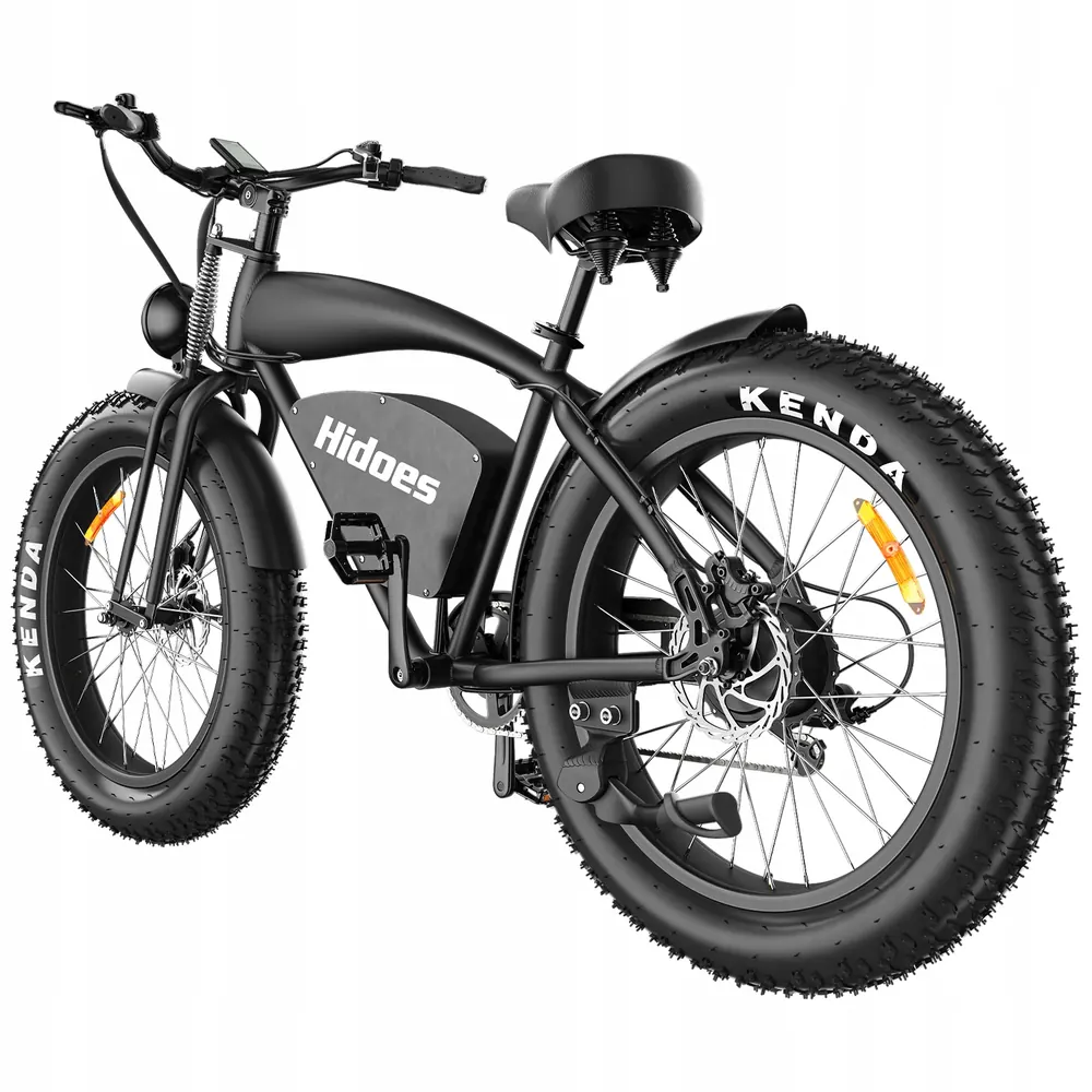 HIDOES B3 Fat Tire E-Bike image 2