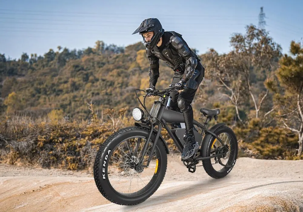 Bici elettrica HIDOES B3 Fat Tire nera con telaio in alluminio
