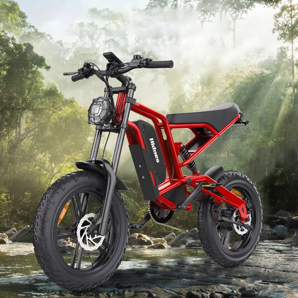 Bici elettrica Hidoes B6 1200W con batteria 48V 15Ah e freni idraulici