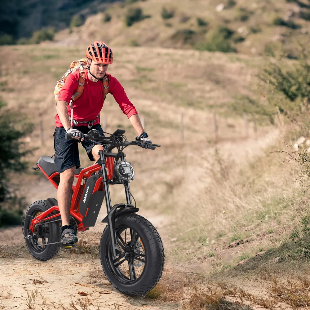 Hidoes B6 1200W 48V 15Ah bicicletta elettrica con freni idraulici