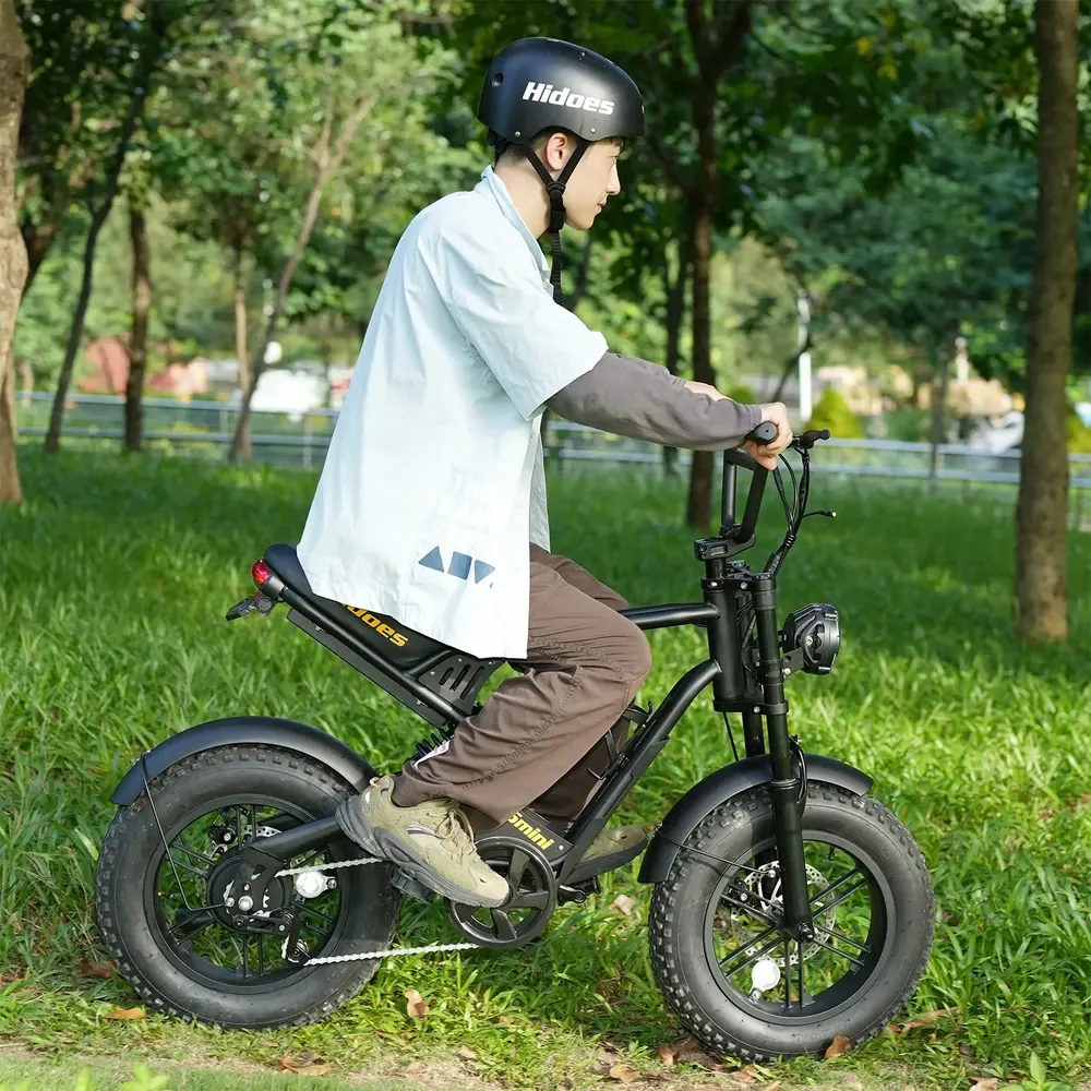 HIDOES B6 MINI Bici Elettrica Pieghevole image 3