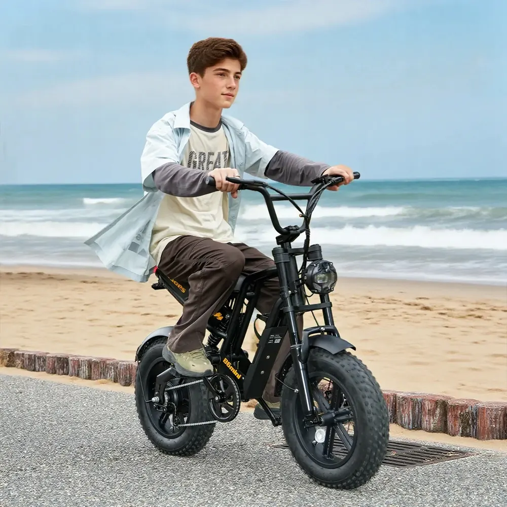 Scatola originale della bici elettrica Hidoes B6MINI 500W