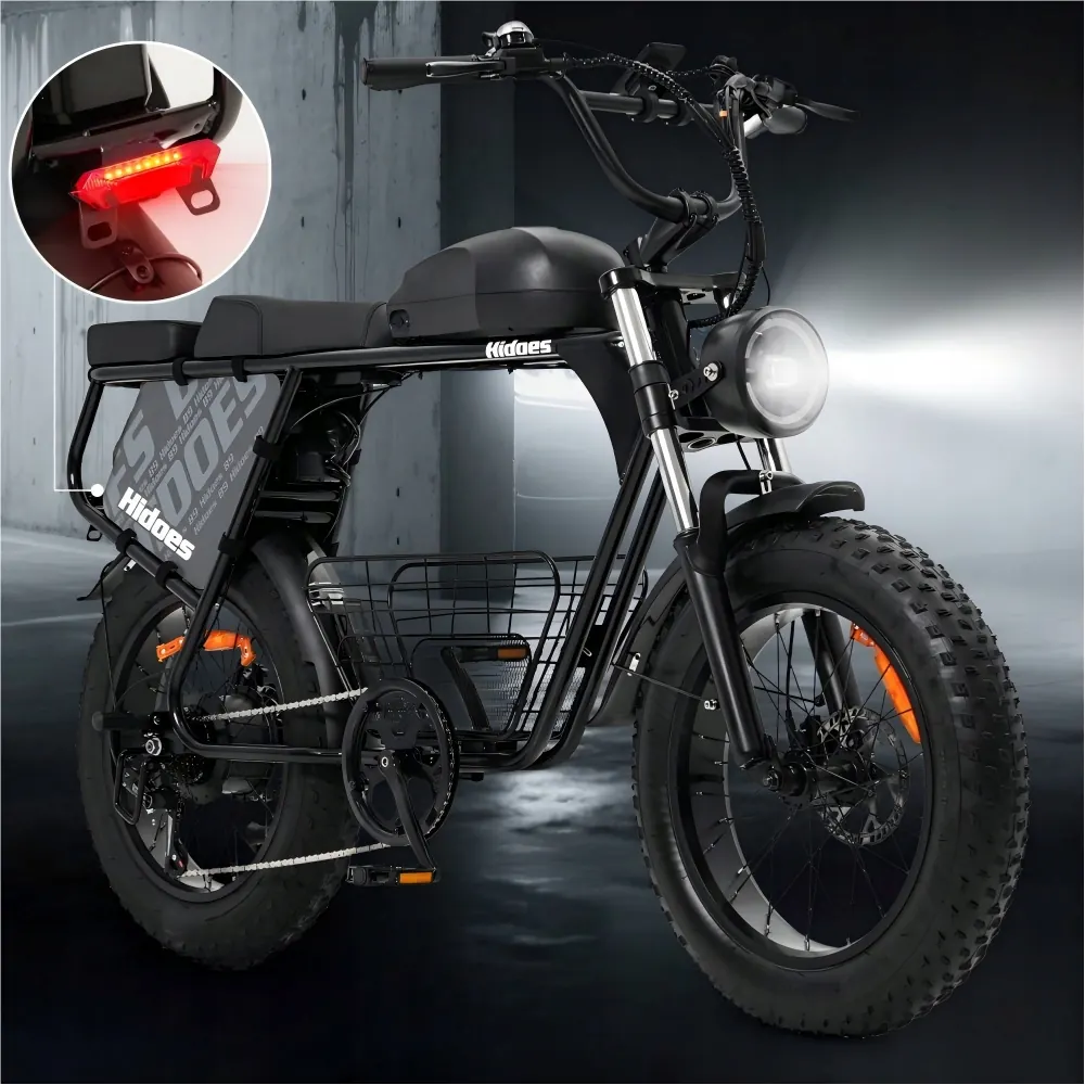 HIDOES B9 Fat Bike Elettrica image 10