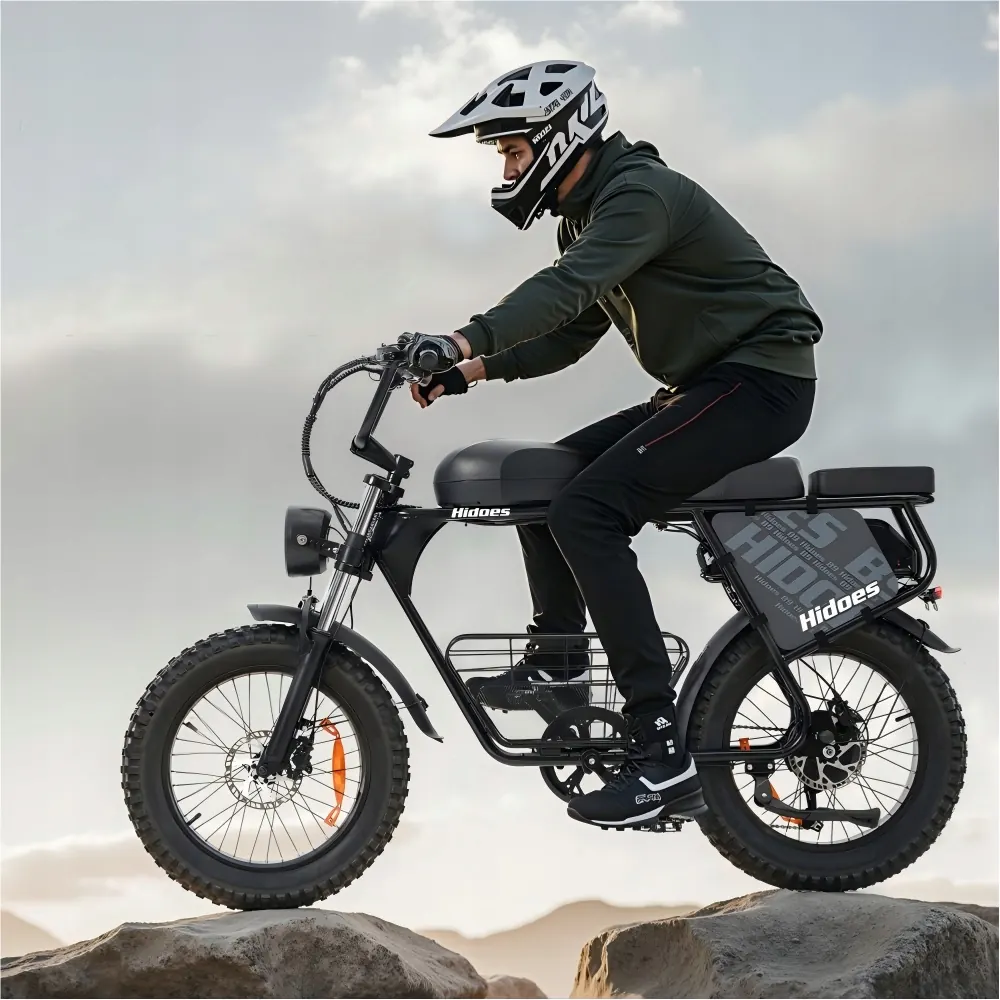 HIDOES B9 Fat Bike Elettrica image 13