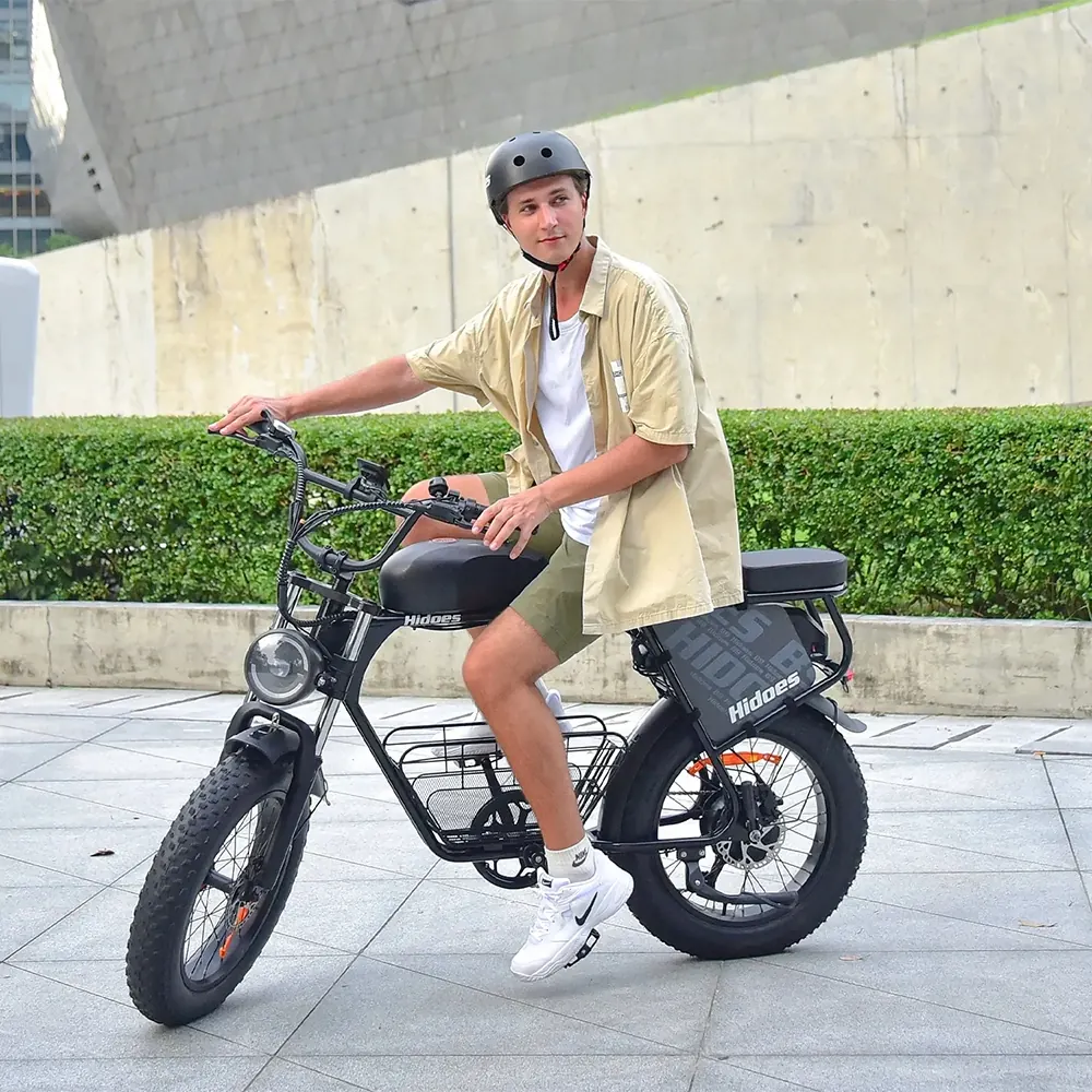 HIDOES B9 Fat Bike Elettrica image 15